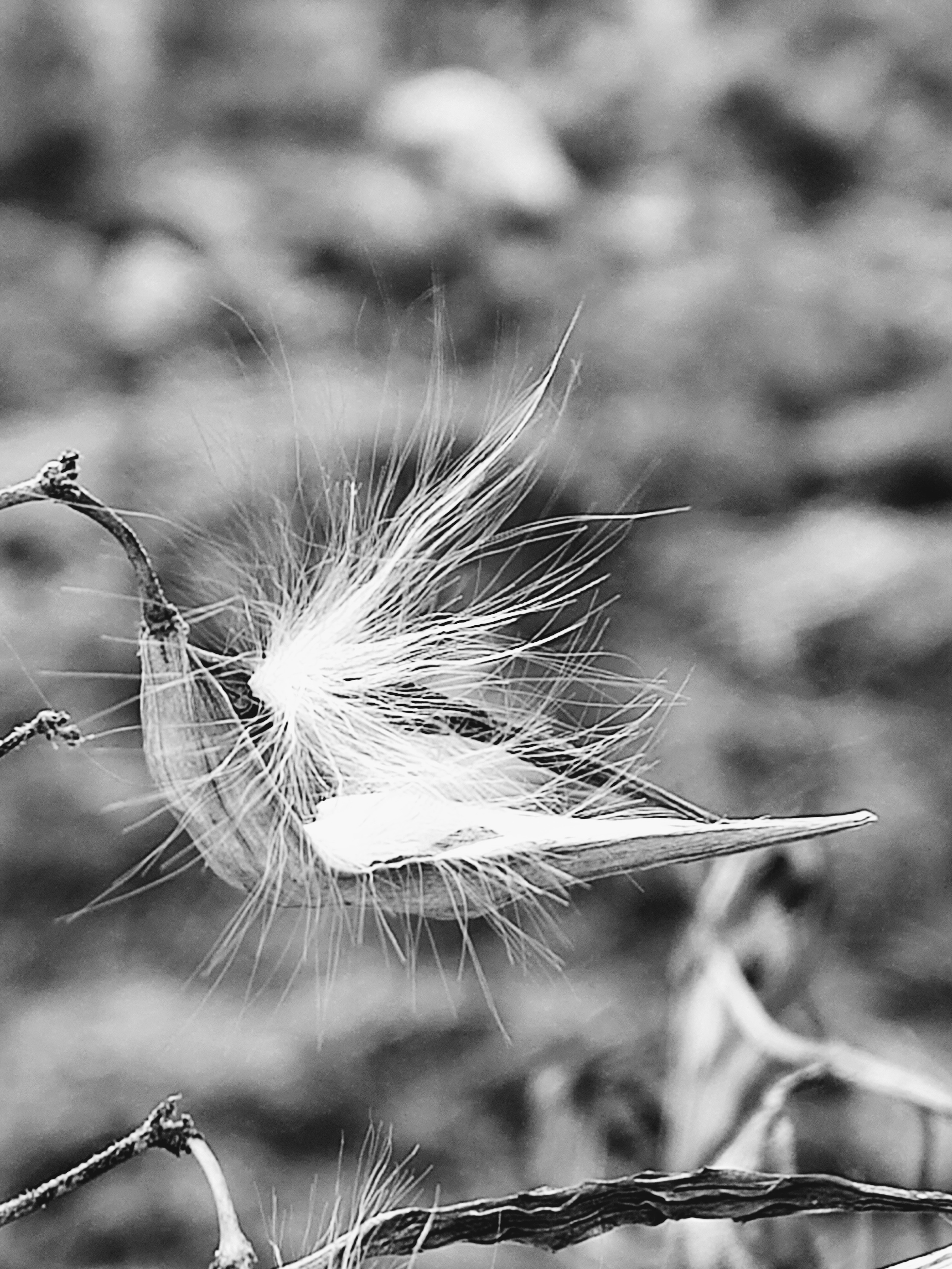IMG_20251129_0857444172