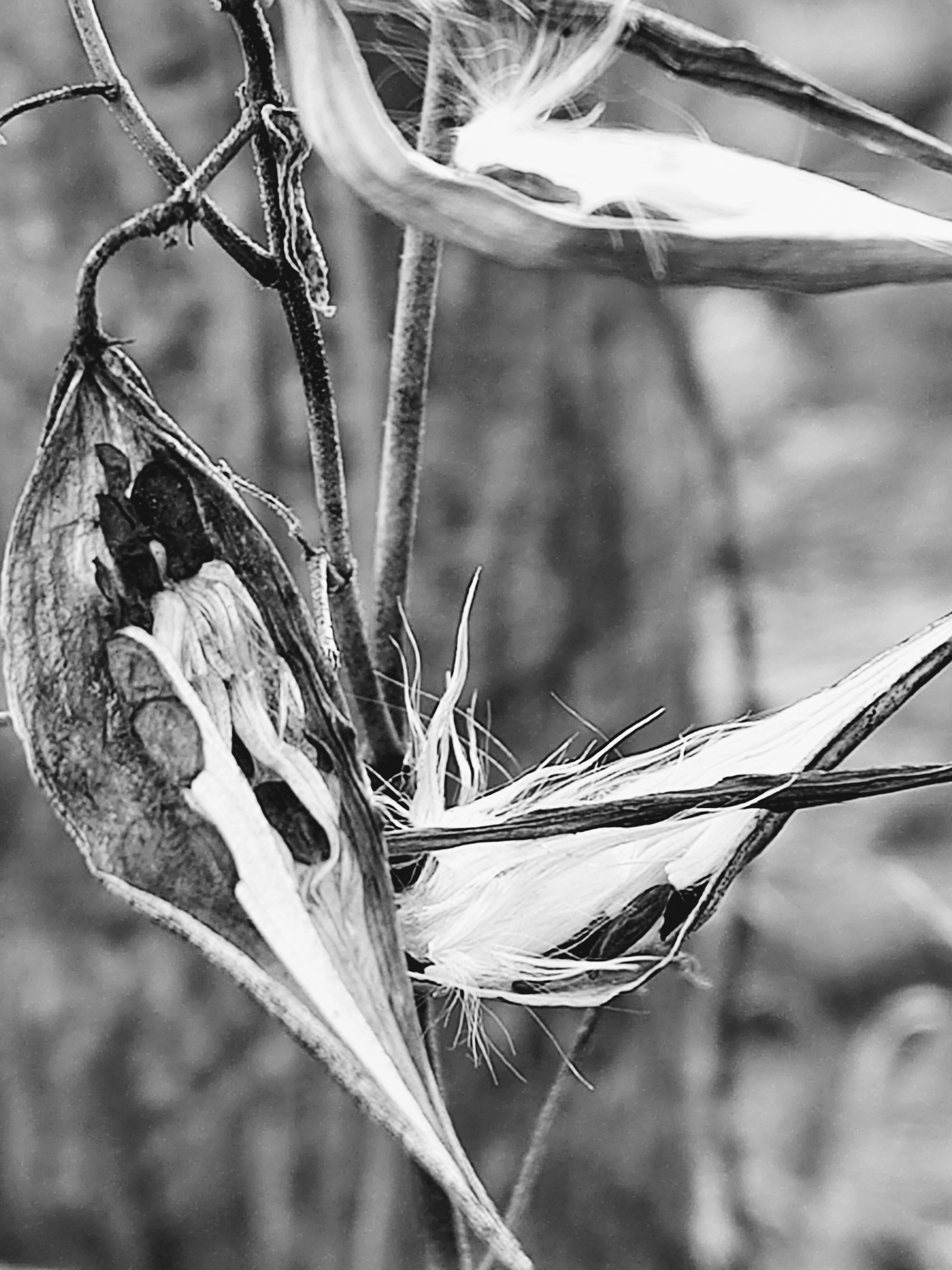 IMG_20251129_0858012562