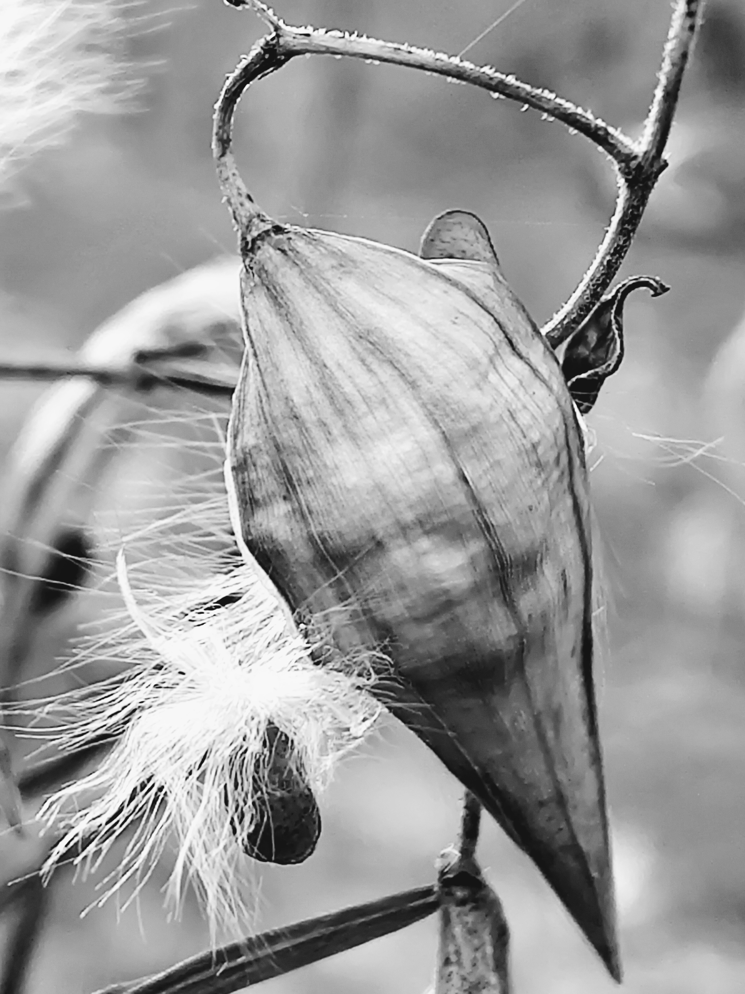 IMG_20251129_0858131063