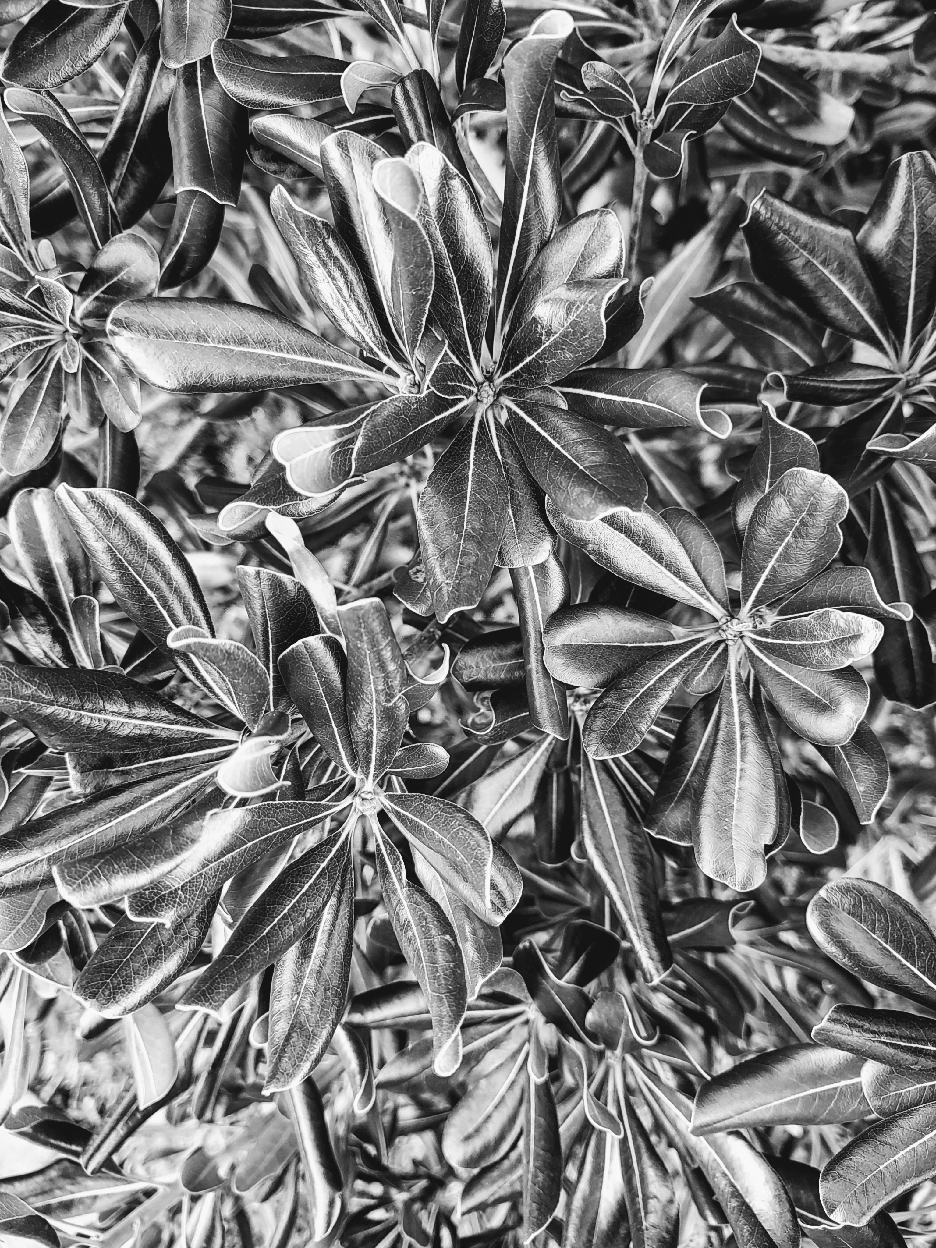IMG_20251129_092255240_HDR2