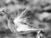 IMG_20251129_0857444172