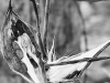 IMG_20251129_0858012562