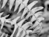 IMG_20251129_0859222442